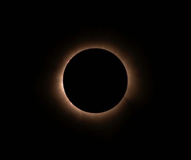 pexels-drewdempsey-28946775